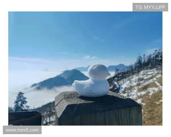 克雷桑分享假期快乐游记畅游成都西岭雪山美景尽收眼底 克雷桑分享假期快乐游记畅游成都西岭雪山美景尽收眼底